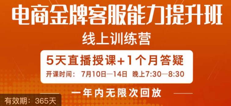 电商金牌客服能力提升班，提升客服能力是你店铺业绩的关键要素-网创先锋