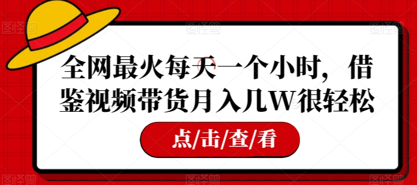 全网最火每天一个小时，借鉴视频带货月入几W很轻松【揭秘】-网创先锋