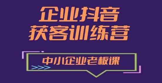 企业抖音营销获客增长训练营，中小企业老板必修课-网创先锋