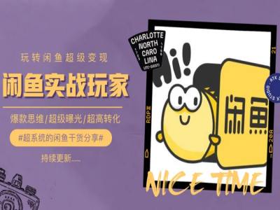 手把手教你0到1系统玩转闲鱼变现，爆款思维/超级曝光/超高转化-网创先锋