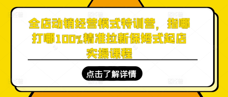 全店动销经营模式特训营，指哪打哪100%精准拉新保姆式起店实操课程-网创先锋