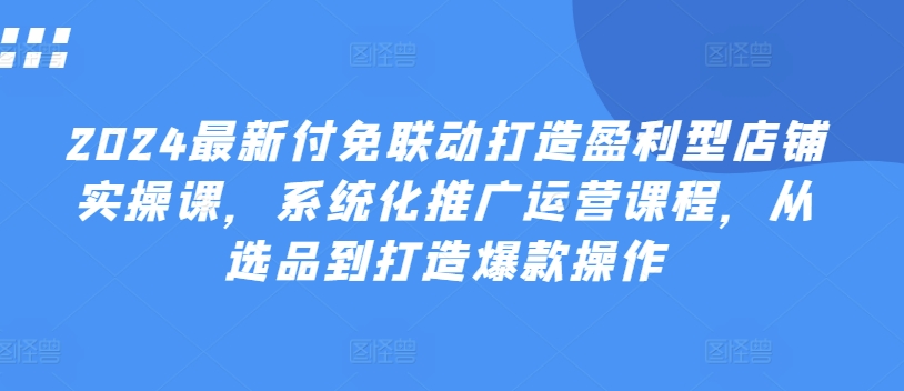 2024最新付免联动打造盈利型店铺实操课，​系统化推广运营课程，从选品到打造爆款操作-网创先锋