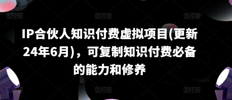 IP合伙人知识付费虚拟项目(更新24年6月)，可复制知识付费必备的能力和修养-网创先锋