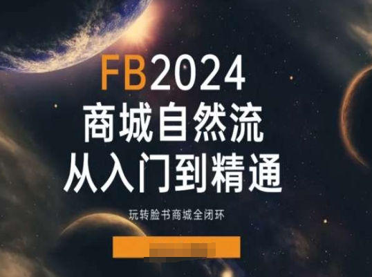 2024Faceboo商城自然流(从入门到精通)，玩转脸书商城全闭环-网创先锋