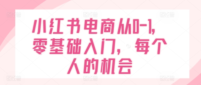 小红书电商从0-1，零基础入门，每个人的机会-网创先锋