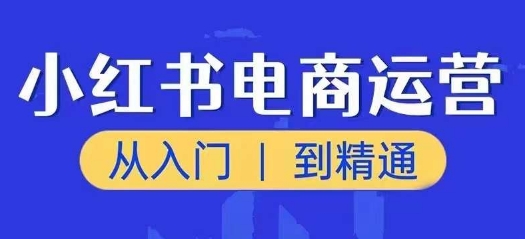 小红书电商运营课，从入门到精通，带你抓住又一个赚钱风口-网创先锋
