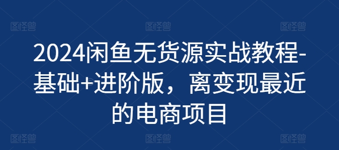 2024闲鱼无货源实战教程-基础+进阶版，离变现最近的电商项目-网创先锋