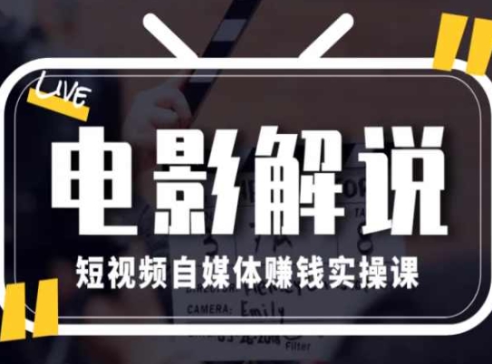 电影解说短视频自媒体赚钱实操课，教你做电影解说短视频，月赚1万-网创先锋