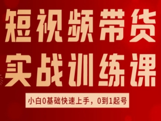 短视频带货实战训练课，好物分享实操，小白0基础快速上手，0到1起号-网创先锋