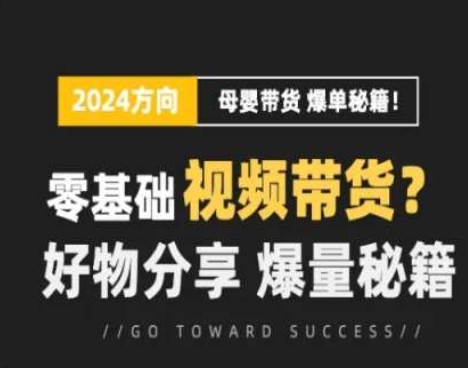 短视频母婴赛道实操流量训练营，零基础视频带货，好物分享，爆量秘籍-网创先锋