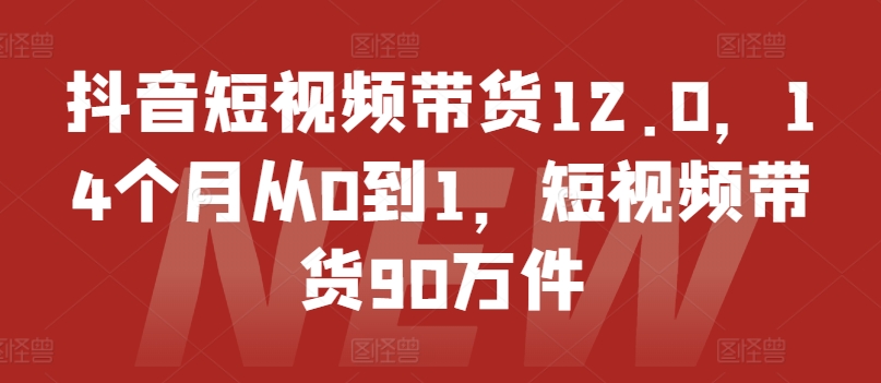 抖音短视频带货12.0，14个月从0到1，短视频带货90万件-网创先锋