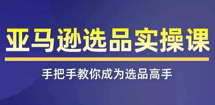 亚马逊选品实操课程，快速掌握亚马逊选品的技巧，覆盖亚马逊选品所有渠道-网创先锋