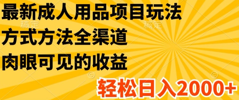 最新成人用品项目玩法，方式方法全渠道，轻松日入2K+【揭秘】-网创先锋