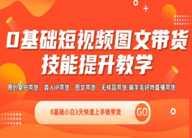 0基础短视频图文带货实操技能提升教学(直播课+视频课),0基础小白3天快速上手做带货-网创先锋