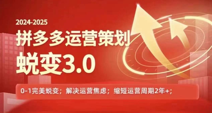 2024-2025拼多多运营策略蜕变3.0，0~1完美蜕变，解决信息焦虑-网创先锋
