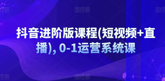 抖音进阶版课程(短视频+直播), 0-1运营系统课-网创先锋