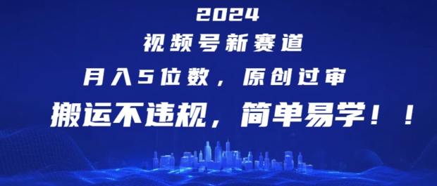 2024视频号新赛道，月入5位数+，原创过审，搬运不违规，简单易学【揭秘】-网创先锋