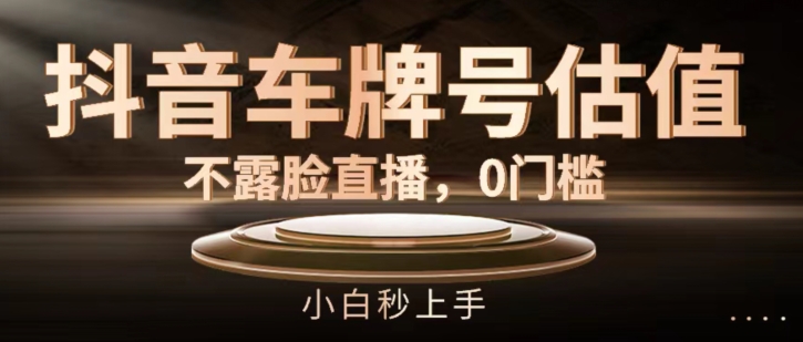 抖音车牌号估值，不露脸直播，0门槛，小白秒上手【揭秘】-网创先锋