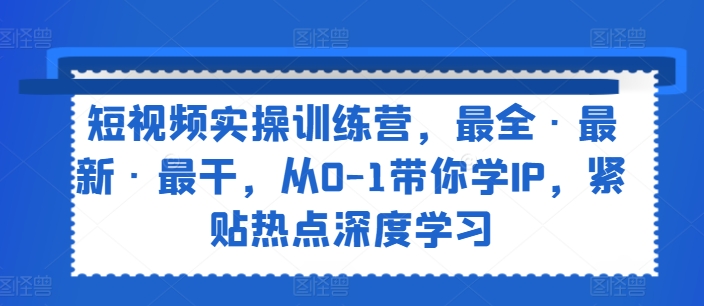 短视频实操训练营，最全·最新·最干，从0-1带你学IP，紧贴热点深度学习-网创先锋