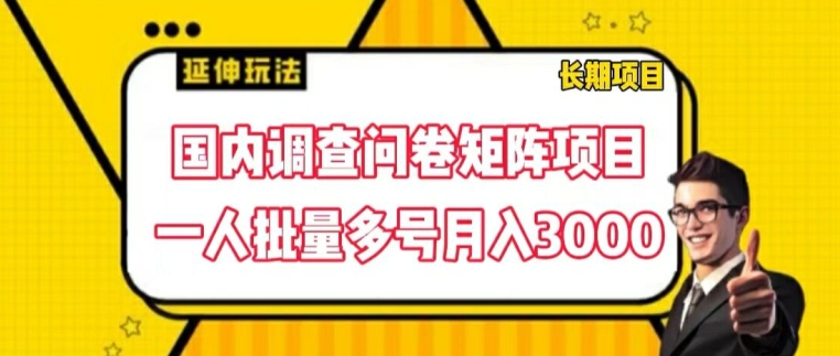 国内调查问卷矩阵项目，一人批量多号月入3000【揭秘】-网创先锋