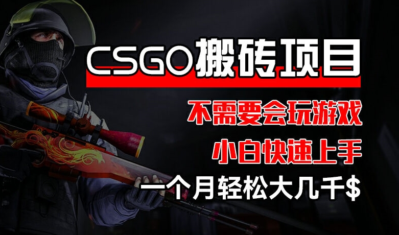 CSGO 装备搬砖项目，操作简单，不需要会玩游戏，小白也能快速上手，一个月轻松大几千【揭秘】-网创先锋