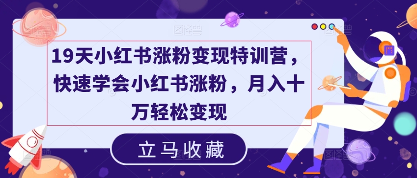 19天小红书涨粉变现特训营，快速学会小红书涨粉，月入十万轻松变现-网创先锋
