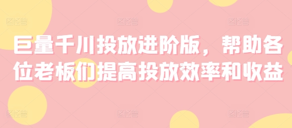 巨量千川投放进阶版，帮助各位老板们提高投放效率和收益-网创先锋