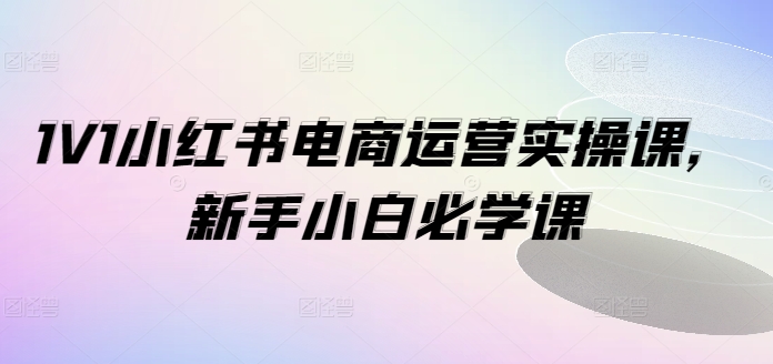1V1小红书电商运营实操课，新手小白必学课-网创先锋