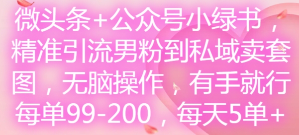 微头条+公众号小绿书，精准引流男粉到私域卖套图，无脑操作，有手就行，每单99-200，每天5单-网创先锋
