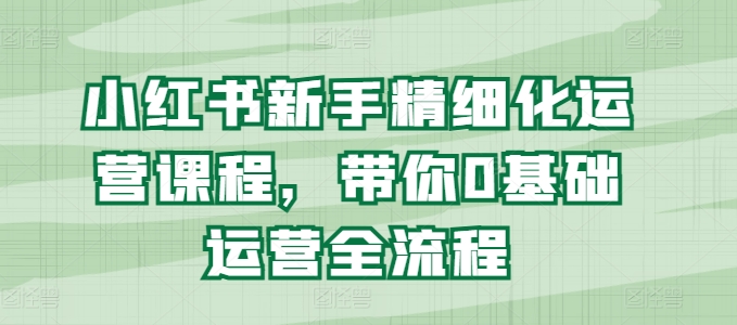 小红书新手精细化运营课程，带你0基础运营全流程-网创先锋
