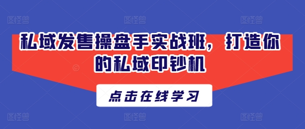 私域发售操盘手实战班，打造你的私域印钞机-网创先锋