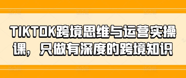 TIKTOK跨境思维与运营实操课，只做有深度的跨境知识-网创先锋