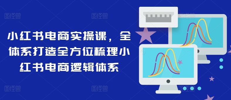 小红书电商实操课，全体系打造全方位梳理小红书电商逻辑体系-网创先锋