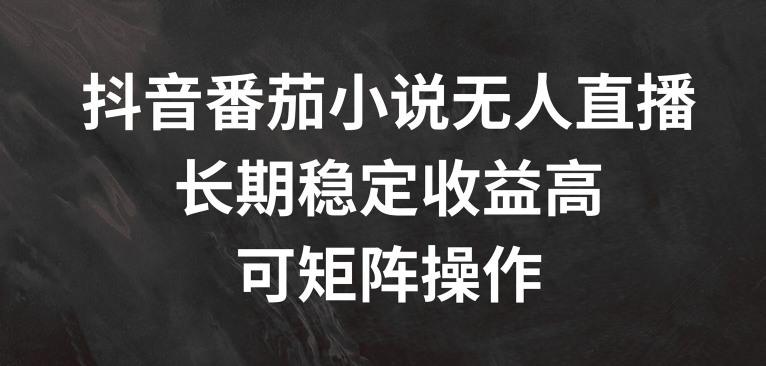 抖音番茄小说无人直播，长期稳定收益高，可矩阵操作【揭秘】-网创先锋