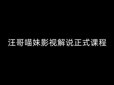 汪哥影视解说正式课程：剪映/PR教学/视解说剪辑5大黄金法则/全流程剪辑7把利器等等-网创先锋