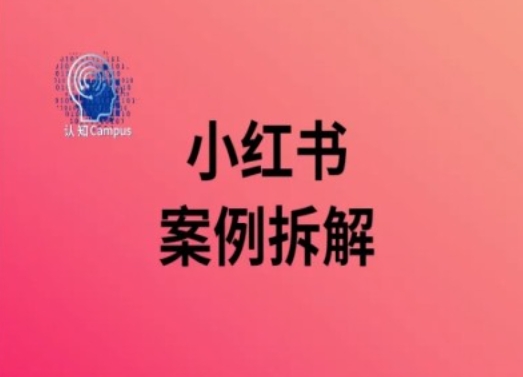小红书案例拆解，深度解读小红书40万粉-网创先锋