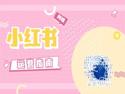 小红书运营指南，没有套路，全是经验-网创先锋