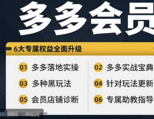 拼多多会员，拼多多实战宝典+实战落地实操，从新手到高阶内容全面覆盖-网创先锋