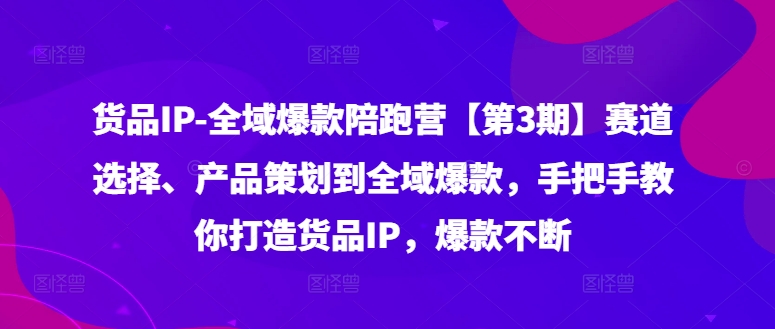 货品IP全域爆款陪跑营【第3期】赛道选择、产品策划到全域爆款，手把手教你打造货品IP，爆款不断-网创先锋