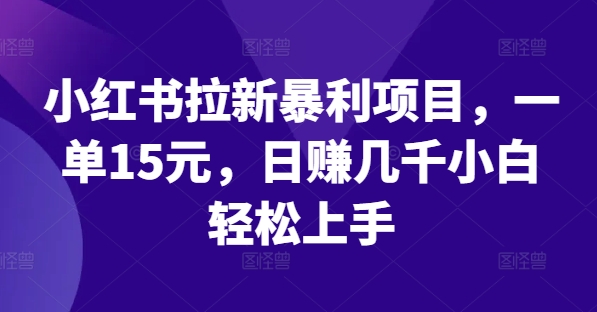 小红书拉新暴利项目，一单15元，日赚几千小白轻松上手【揭秘】-网创先锋