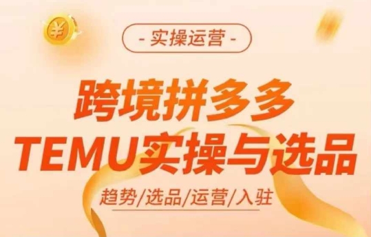跨境拼多多TEMU实操与选品，多多temu跨境选品运营实操-网创先锋
