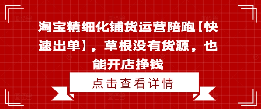 淘宝精细化铺货运营陪跑【快速出单】，草根没有货源，也能开店挣钱-网创先锋