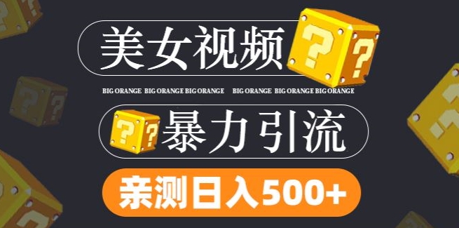 搬运tk美女视频全网分发，日引s粉300+，轻松变现，不限流量不封号【揭秘】-网创先锋