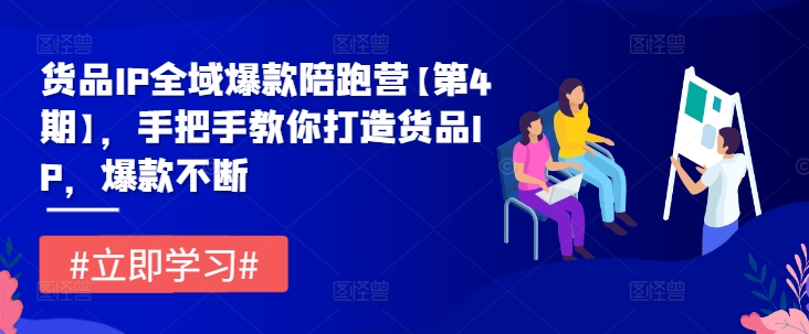 货品IP全域爆款陪跑营【第4期】，手把手教你打造货品IP，爆款不断-网创先锋