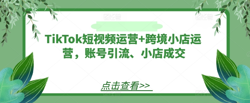 TikTok短视频运营+跨境小店运营，账号引流、小店成交-网创先锋