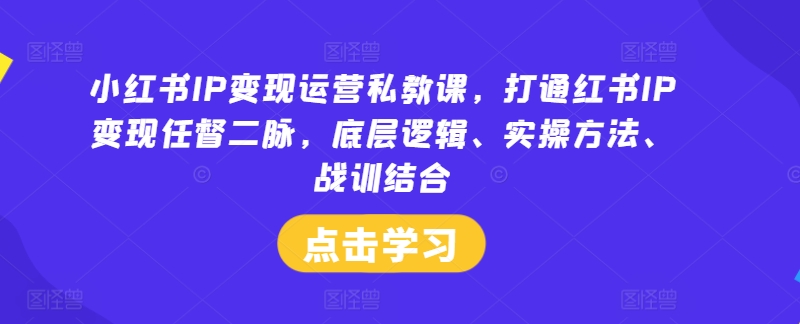 小红书IP变现运营私教课，打通红书IP变现任督二脉，底层逻辑、实操方法、战训结合-网创先锋