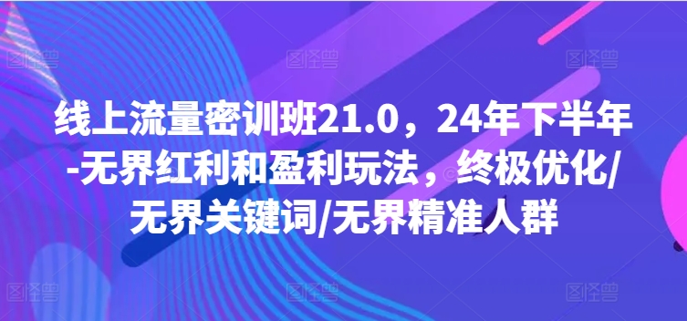 线上流量密训班21.0，24年下半年-无界红利和盈利玩法，终极优化/无界关键词/无界精准人群-网创先锋
