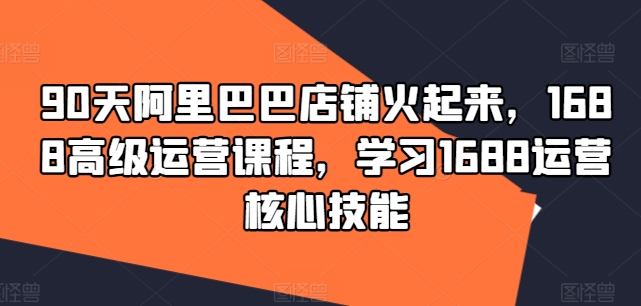 90天阿里巴巴店铺火起来，1688高级运营课程，学习1688运营核心技能-网创先锋