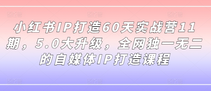 小红书IP打造60天实战营11期，5.0大升级，全网独一无二的自媒体IP打造课程-网创先锋