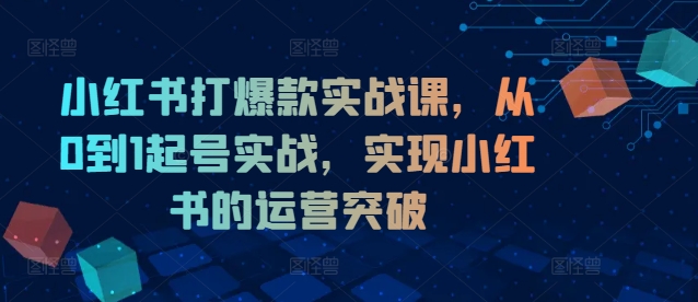 小红书打爆款实战课，从0到1起号实战，实现小红书的运营突破-网创先锋